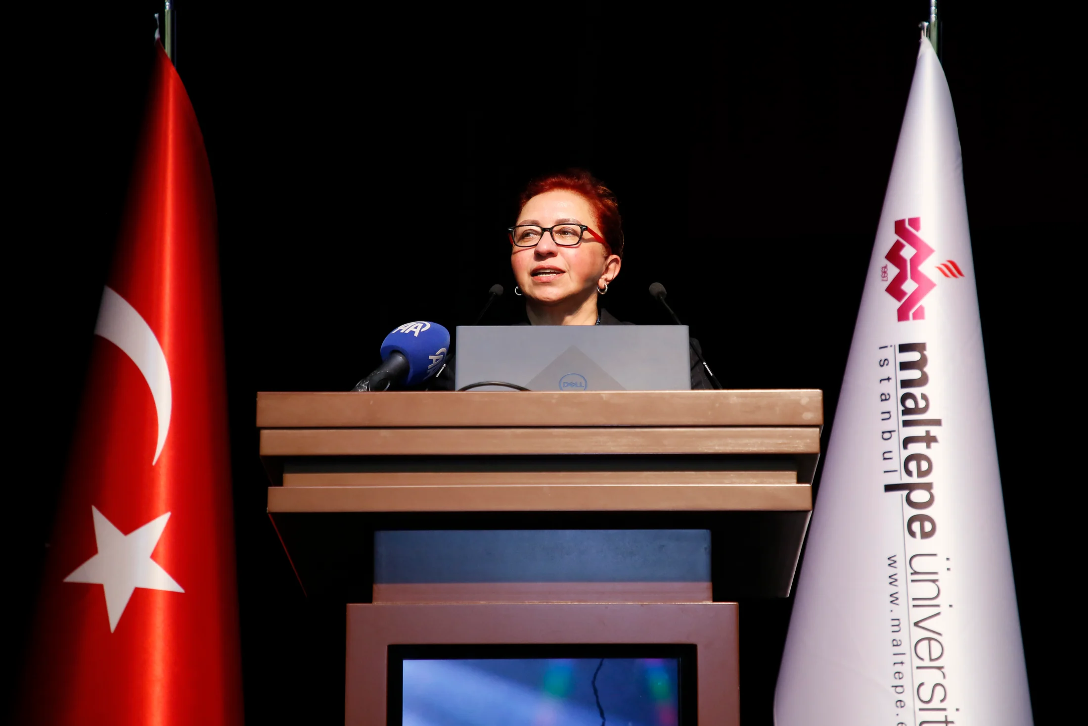 An address from the summit podium