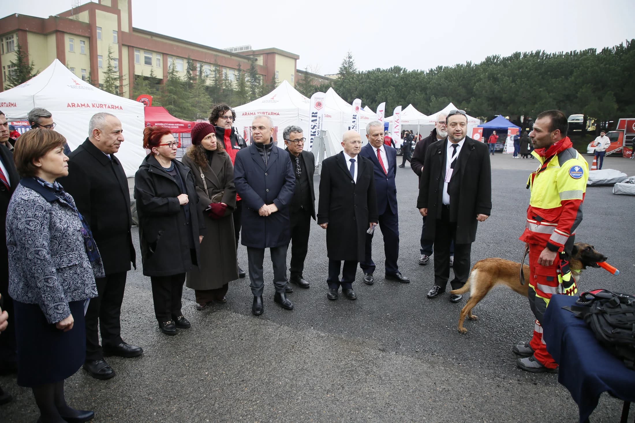 Meeting a search dog team